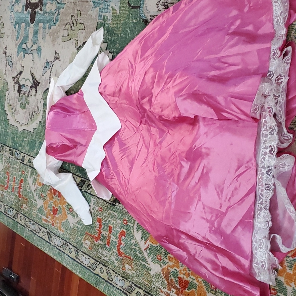 Gorgeous Sleeping Beauty costume